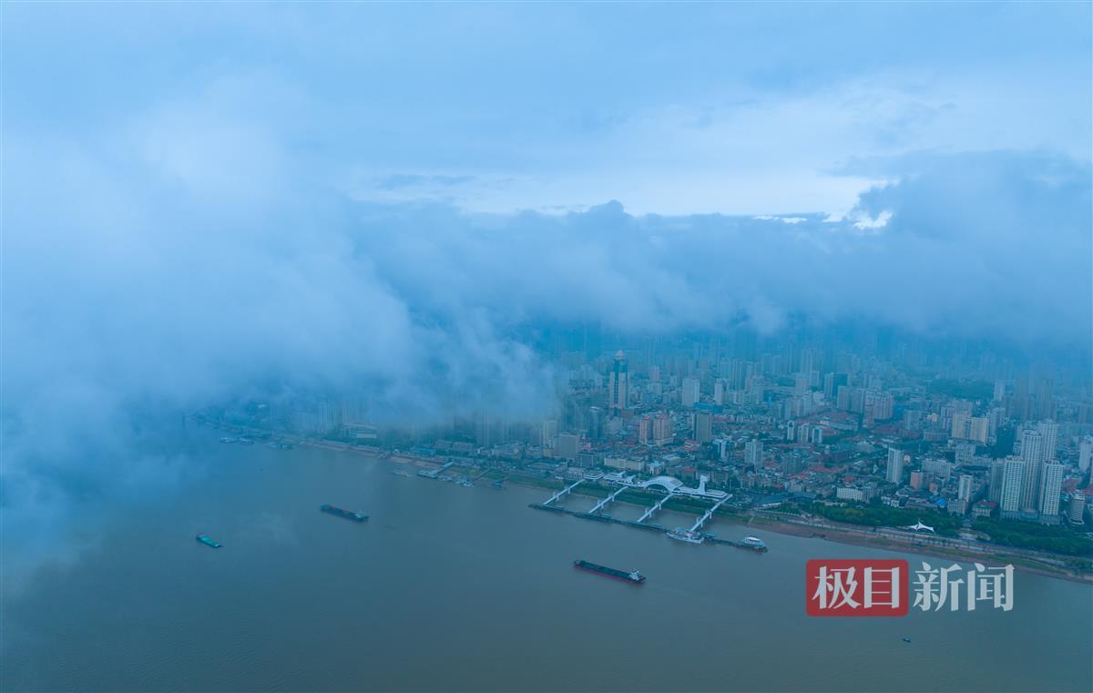 12博下载